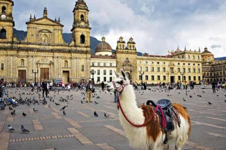 Apartasuites Bogota Romannoti Exteriér fotografie